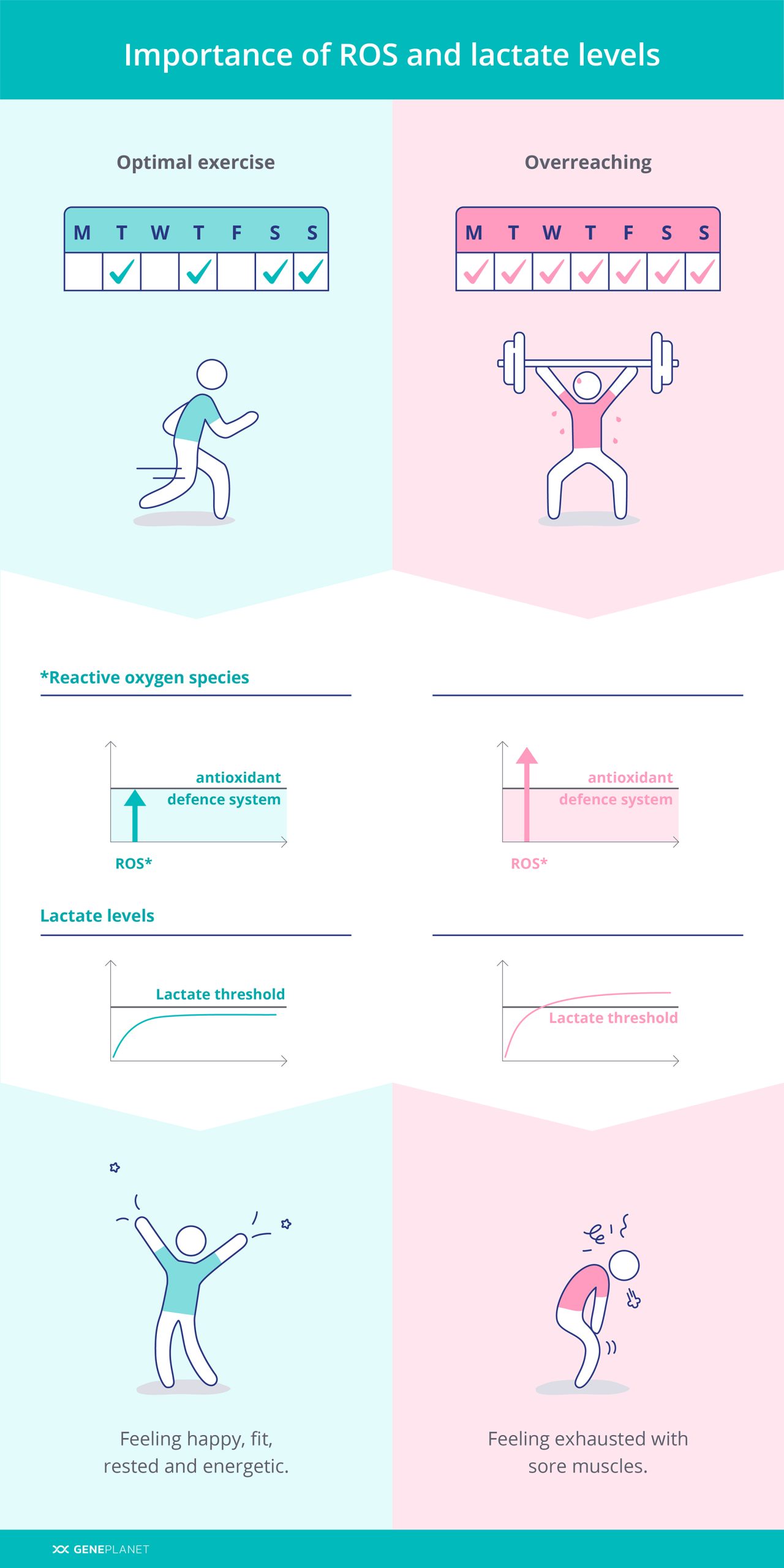 Importance of ROS and lactate levels