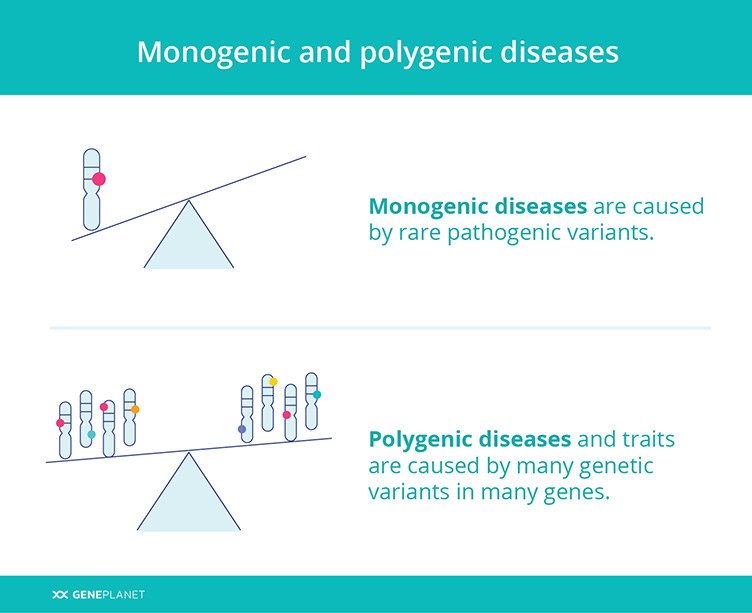 Explanation of monogenic and polygenic diseases
