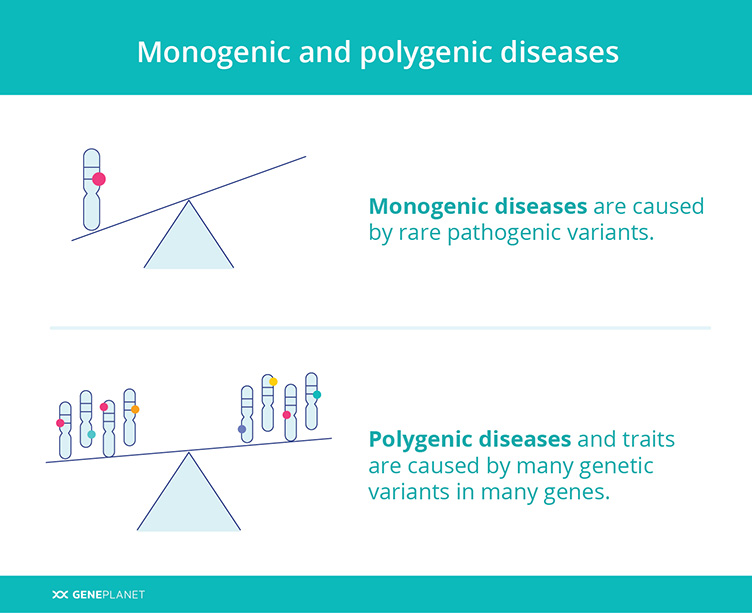 » What is a polygenic risk score and how can it help you?