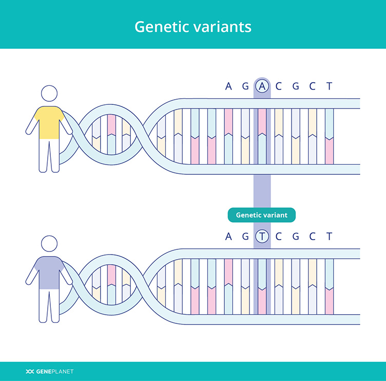 Genetic variants between two people