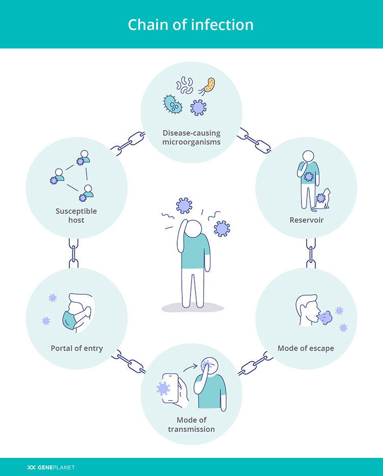 The Chain Of Infection Includes Pathogen Mode Of Transmission And at ...