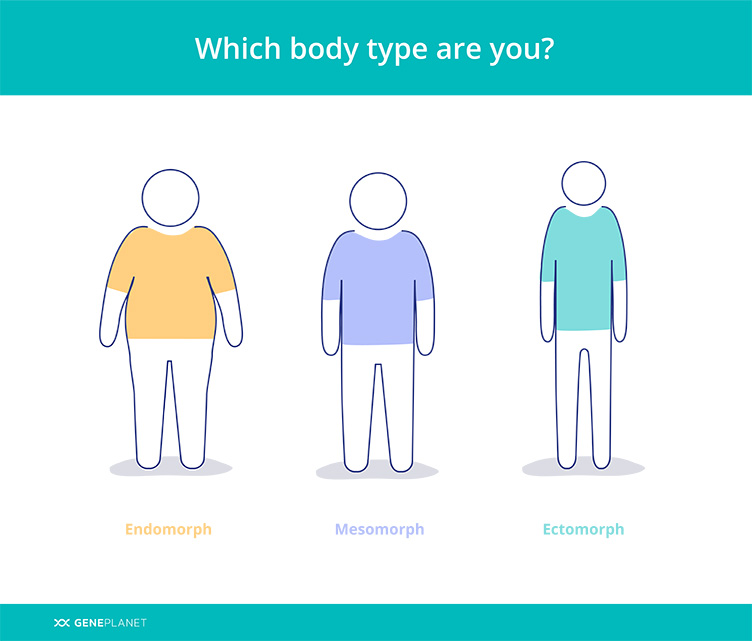 The 3 main metabolic body types you should be aware of, by Joshua maos