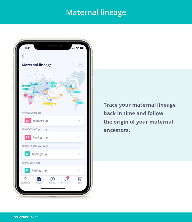 Maternal lineage trace on GenePlanet's mobile app